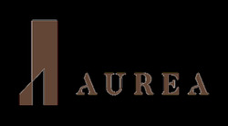 Aurea (D7), Apartment #450174281